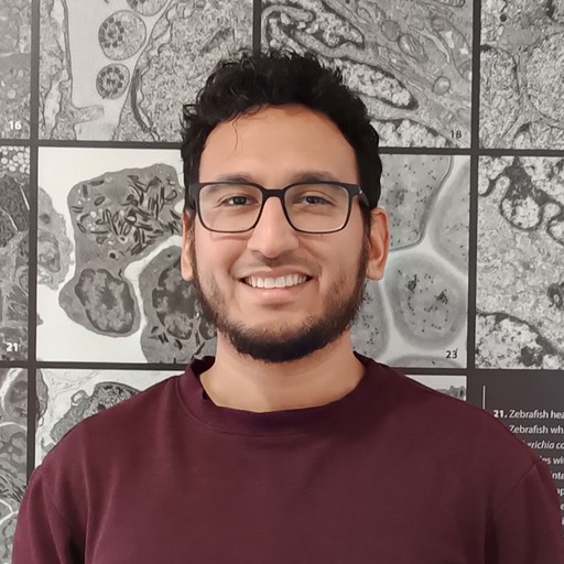 Damian Martinez-Reyes